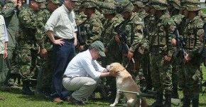 A dos meses de Operación Odiseo: la cacería del jefe máximo de las Farc