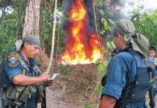 Encuentran novedosos métodos para fabricar cocaína en la selva peruana