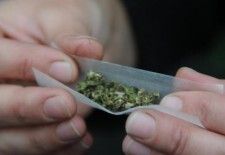 Uruguay: Cultivadores y consumidores de marihuana deberán registrarse