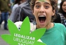 Uruguay: Esperan votar antes de fin de año la legalización de la marihuana