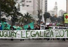 El Estado uruguayo venderá marihuana de mejor calidad al mismo precio que el mercado negro