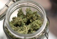 Nueva estrategia anticrimen en México tras legalización de marihuana en EEUU
