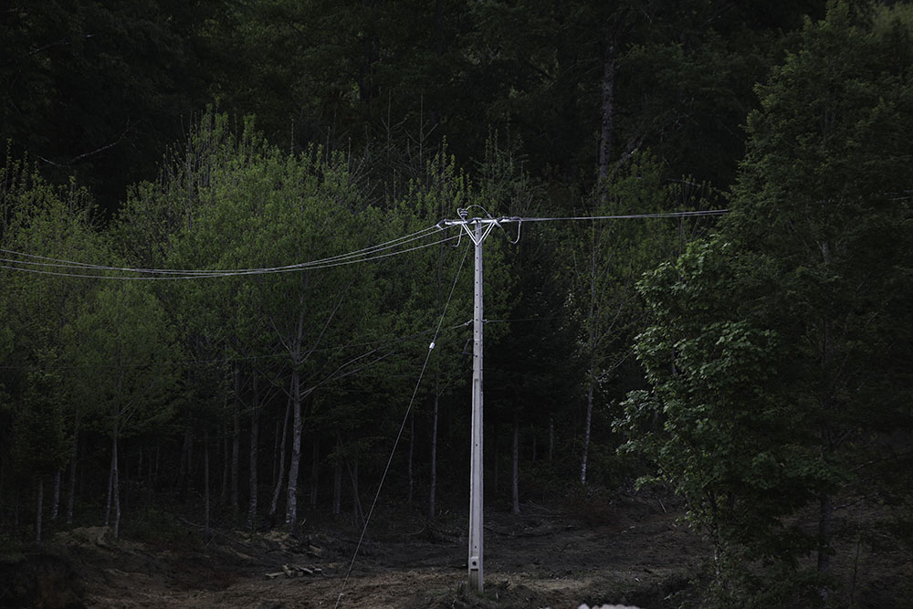 Tendido electrico de la hidroelectrica pasa entre el bosque de Tranguil.©Ruta35r/Cristobal Saavedra