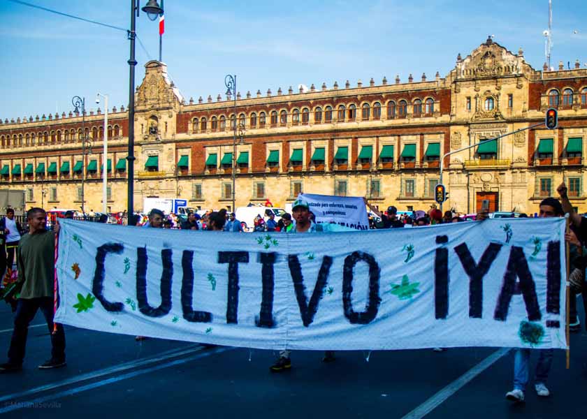 México y cannabis: 150 historias de violación de derechos humanos de la Policía